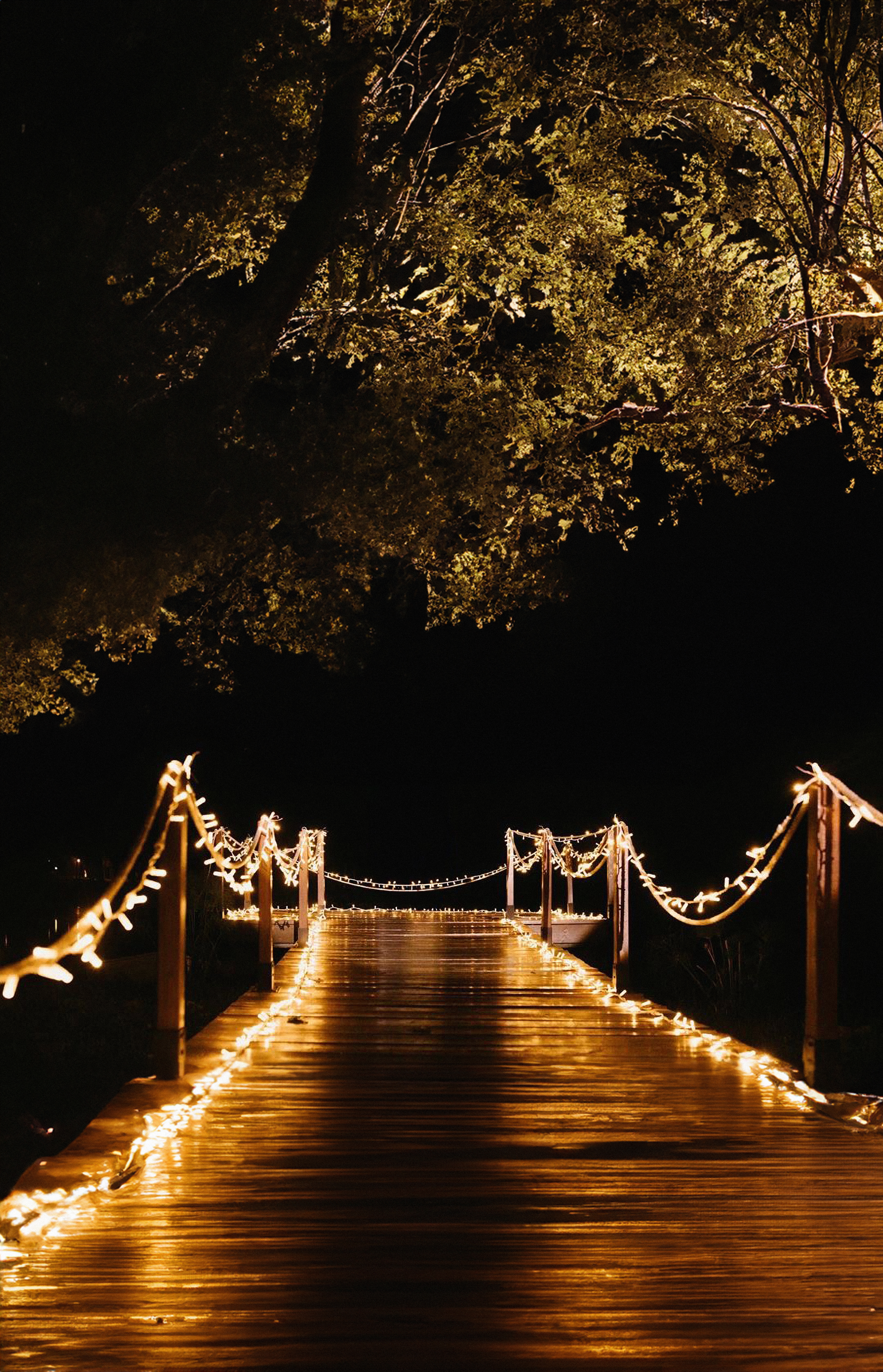 Detalle de guirnaldas de micro-LEDs de luz cálida extendidas sobre el césped o suelo, creando un sendero iluminado para eventos.