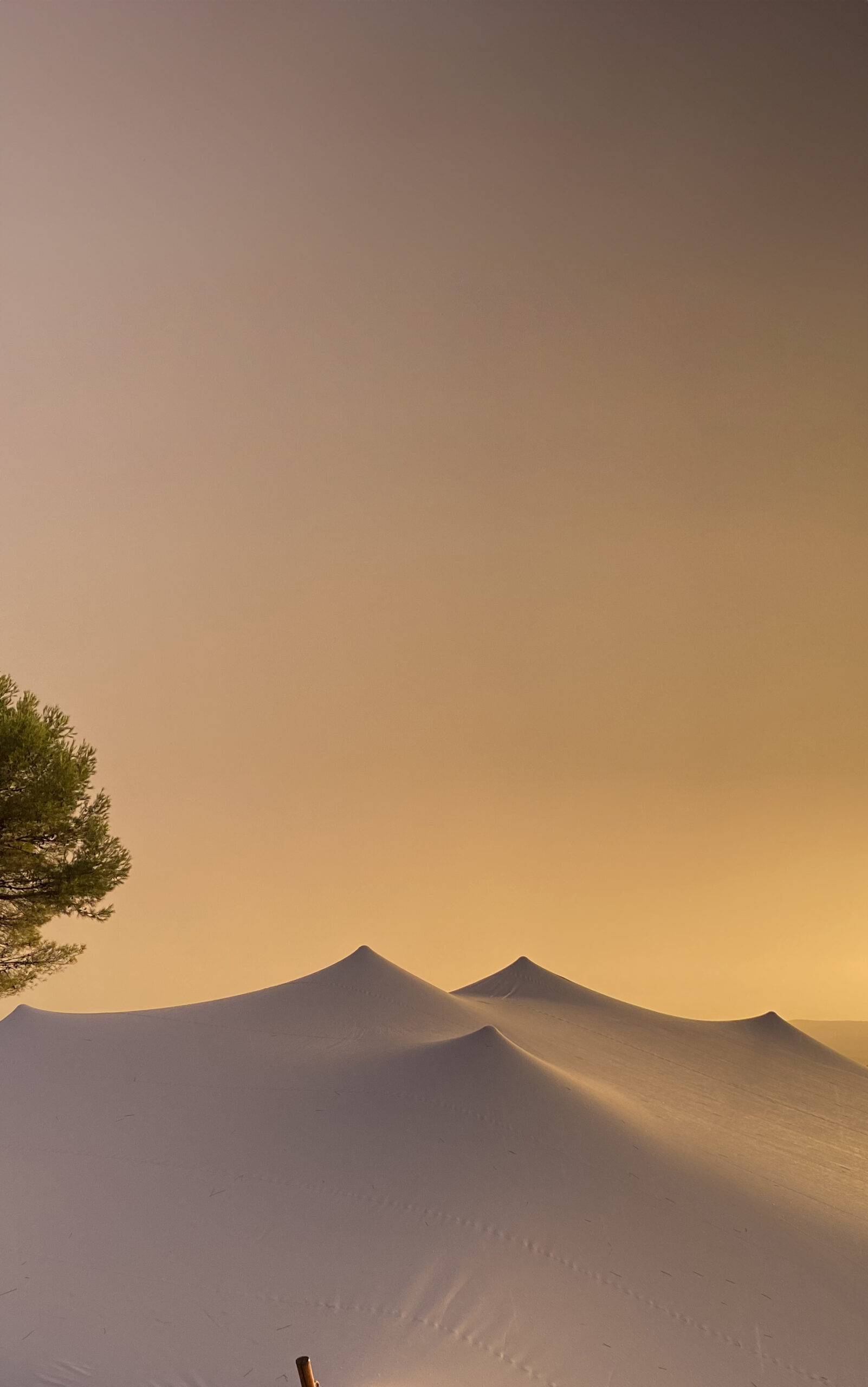 Alquiler Carpa Beduina bodas y eventos