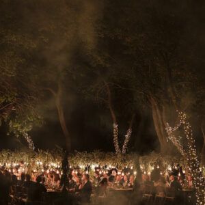 Alquiler de iluminacion edison con verde y mesas de madera imperiales para bodas y eventos